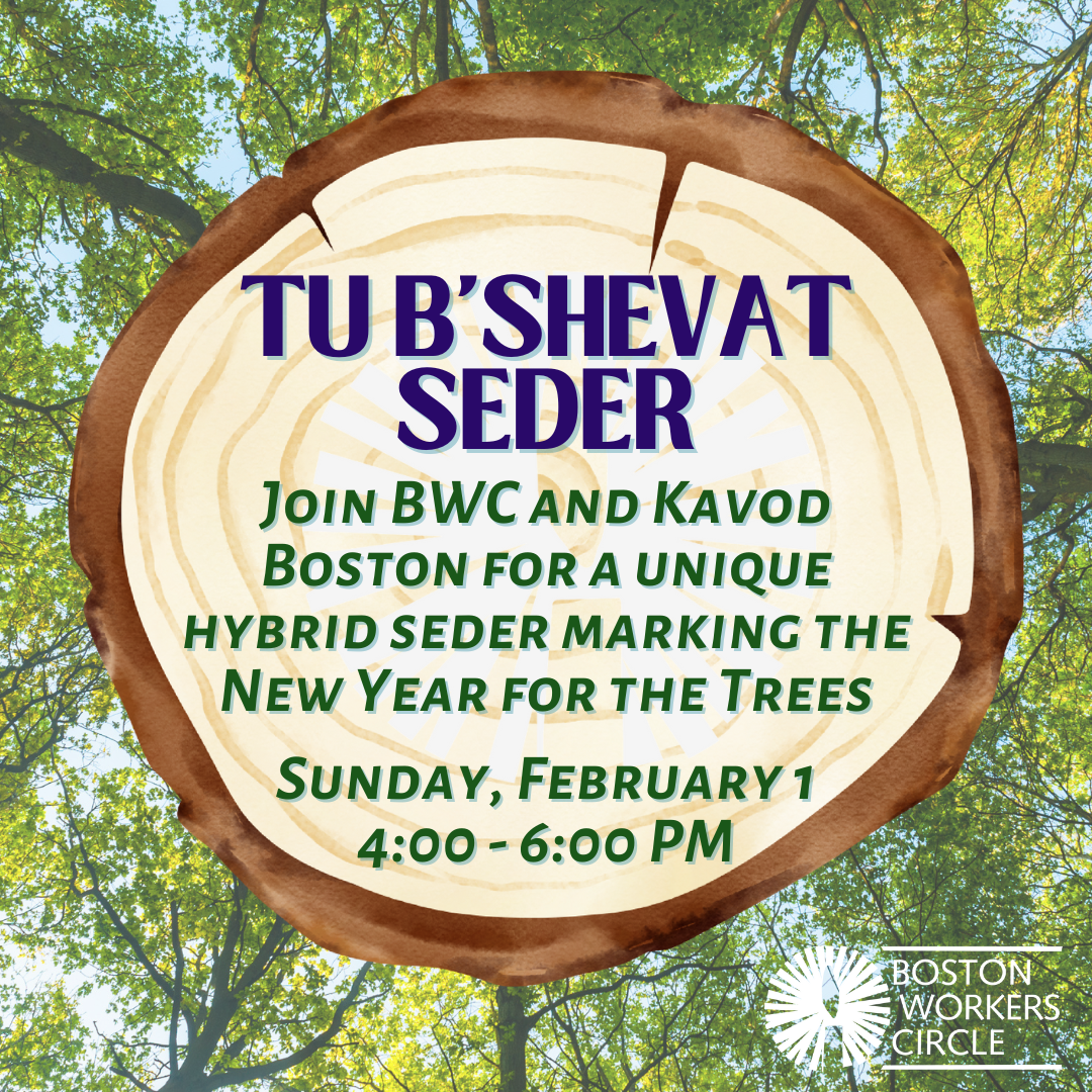graphic with stylized tree trunk showing tree rings that contains text 'Tu B'Shevat Seder | Join BWC and Kavod Boston for a unique hybrid Seder marking the New Year for the Trees | Sunday, February 1 4:00 - 6:00 PM\ with an image of a tree canopy around the stump and BWC's logo in the bottom, right corner